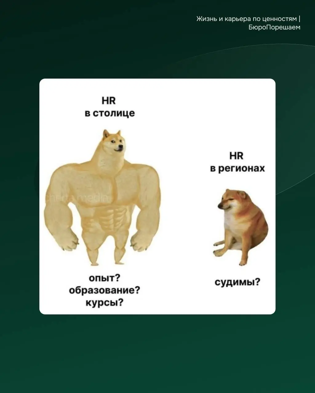 Вы знаете что делать 👇👇👇 | Сетка — социальная сеть от hh.ru