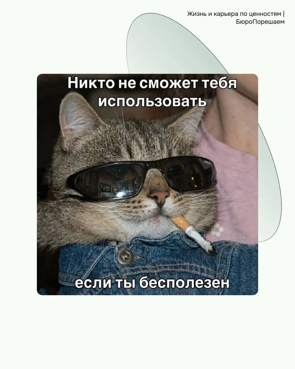Вы знаете что делать 👇👇👇 | Сетка — социальная сеть от hh.ru