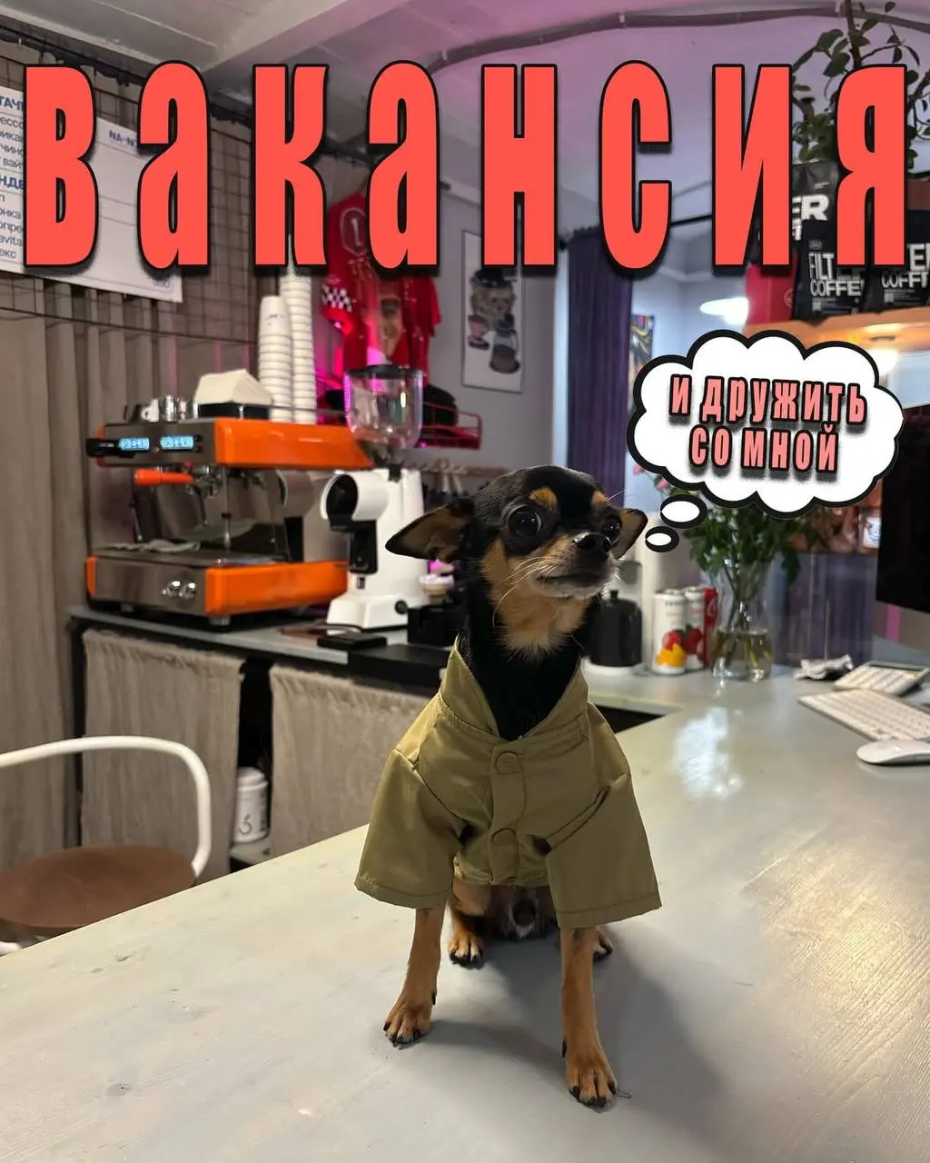НАНУЛЕ СПЕЙС
пополняет свою команду 🤍
Ищем человека на частичную занятость (2–3 дня в неделю) с возможностью роста и развития вместе с нами 👋🏼
Что для нас важно:
— любовь к одежде, брендам и винтажу
—... | Сетка — социальная сеть от hh.ru
