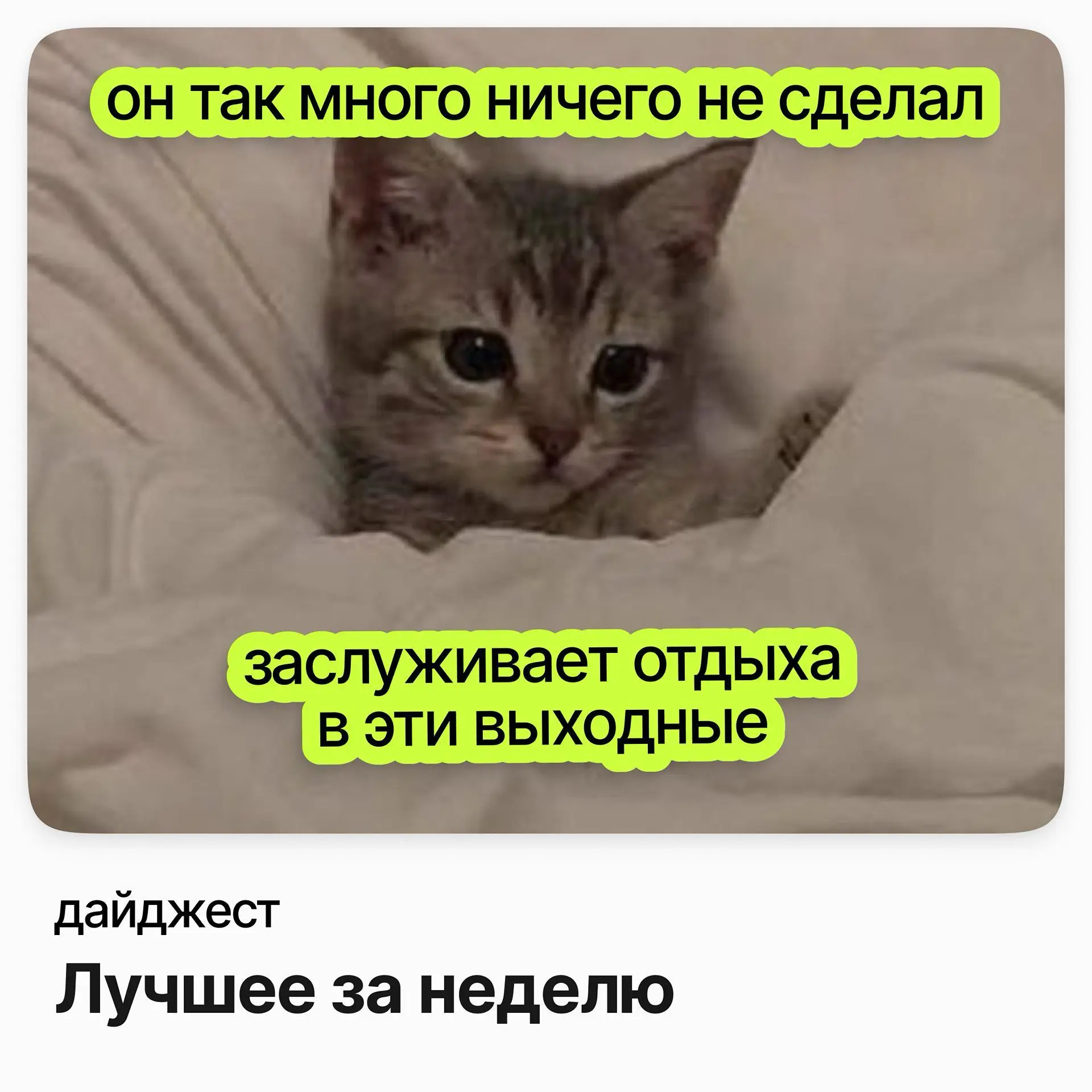 Лучшие вакансии недели | Сетка — социальная сеть от hh.ru