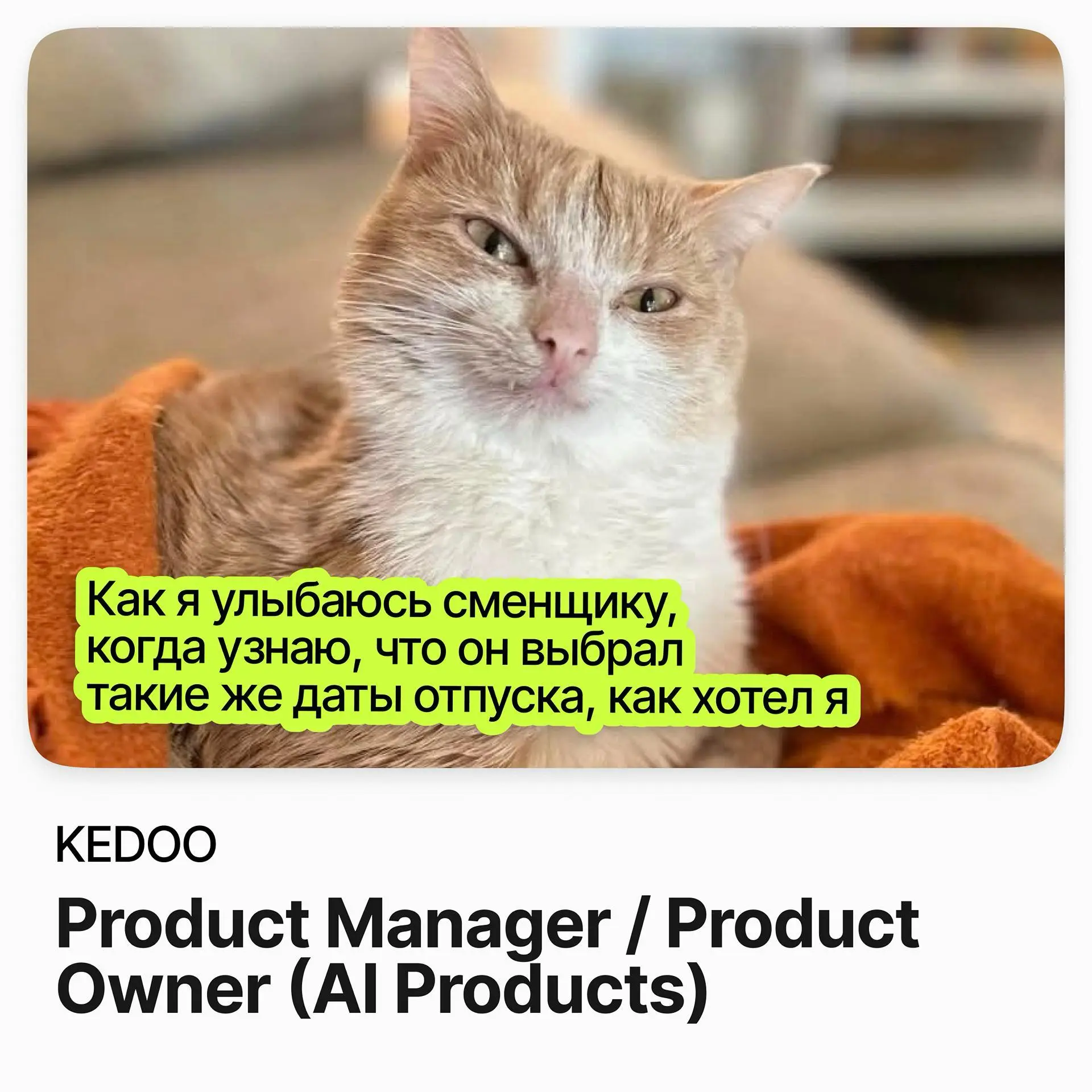 Product Manager / Product Owner (AI Products) / KEDOO | Сетка — социальная сеть от hh.ru