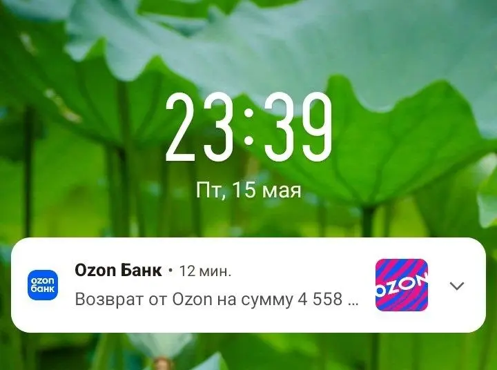 Поста по покупке китайского ноута к сожалению не будет.
Продавец видимо ахренел с цены которую озон поставил на ноут и отказался его отправлять.
Может оно и к лучшему 😁 | Сетка — социальная сеть от hh.ru