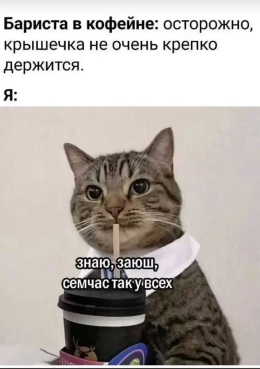 Регулярная рубрика субботние #мемы
Мои дорогие, рубрика превратилась в рубрику 1 раз в месяц мемы, хотите чтобы мы вернулись к регулярности 1 раз в неделю, тогда ставьте реакцию и кидайте в комментари... | Сетка — социальная сеть от hh.ru