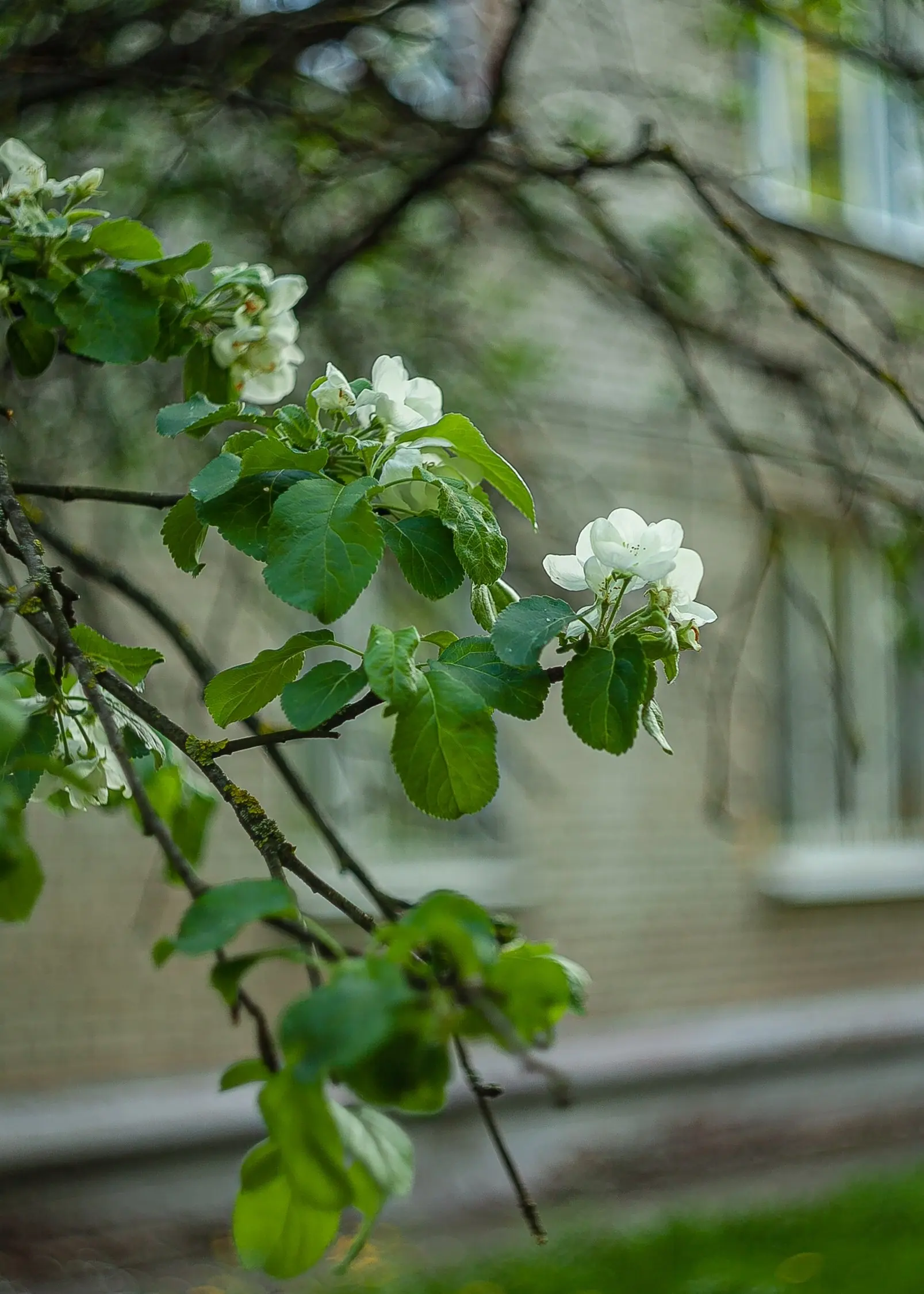 СПЛОШНАЯ ПОЛЬЗА
#петровичевагент #улицапетровичева
Когда берешь с собой на показы фотоаппарат с любимым объективом, всегда остаёшься в выигрыше | Сетка — социальная сеть от hh.ru