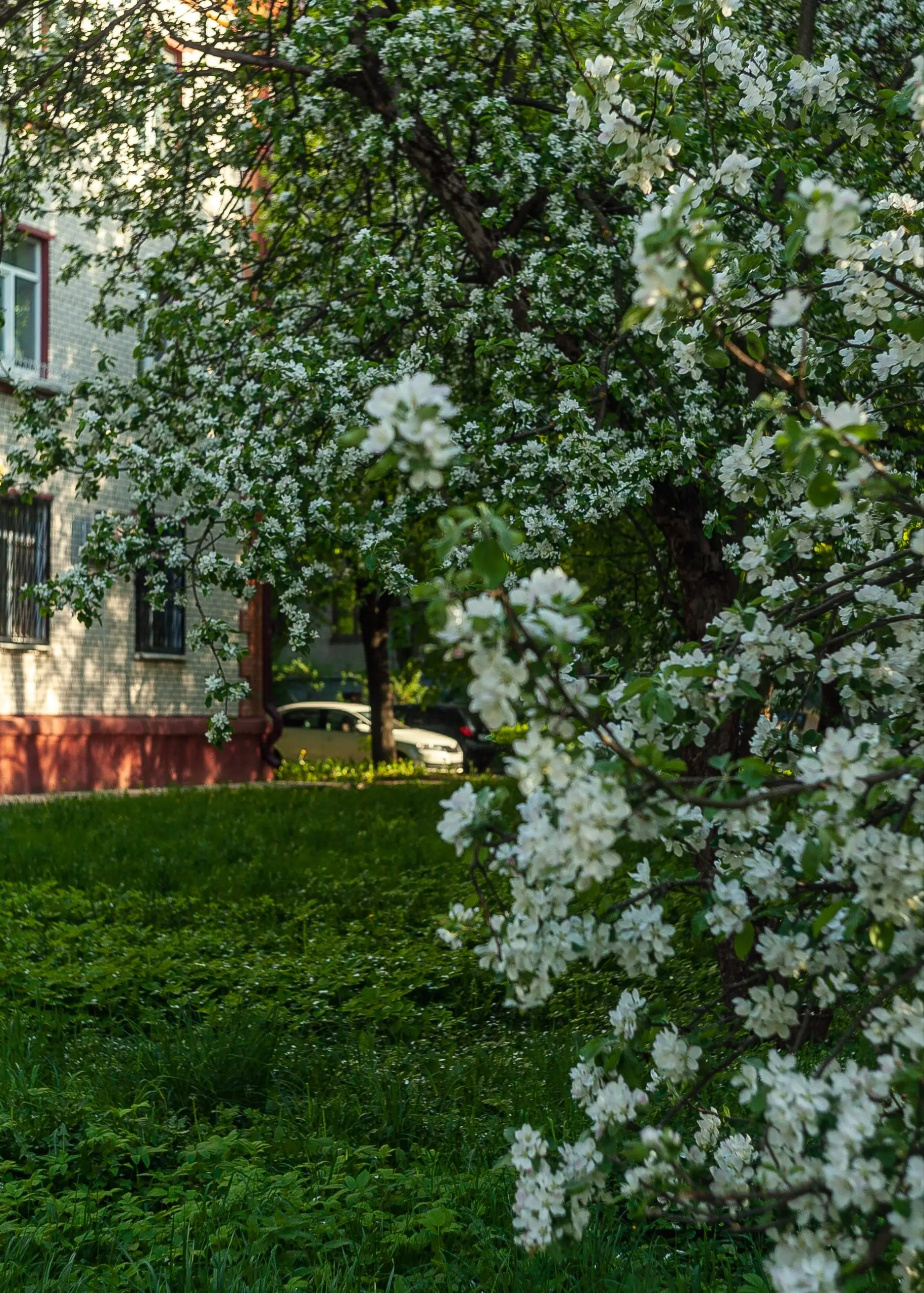 СПЛОШНАЯ ПОЛЬЗА
#петровичевагент #улицапетровичева
Когда берешь с собой на показы фотоаппарат с любимым объективом, всегда остаёшься в выигрыше | Сетка — социальная сеть от hh.ru