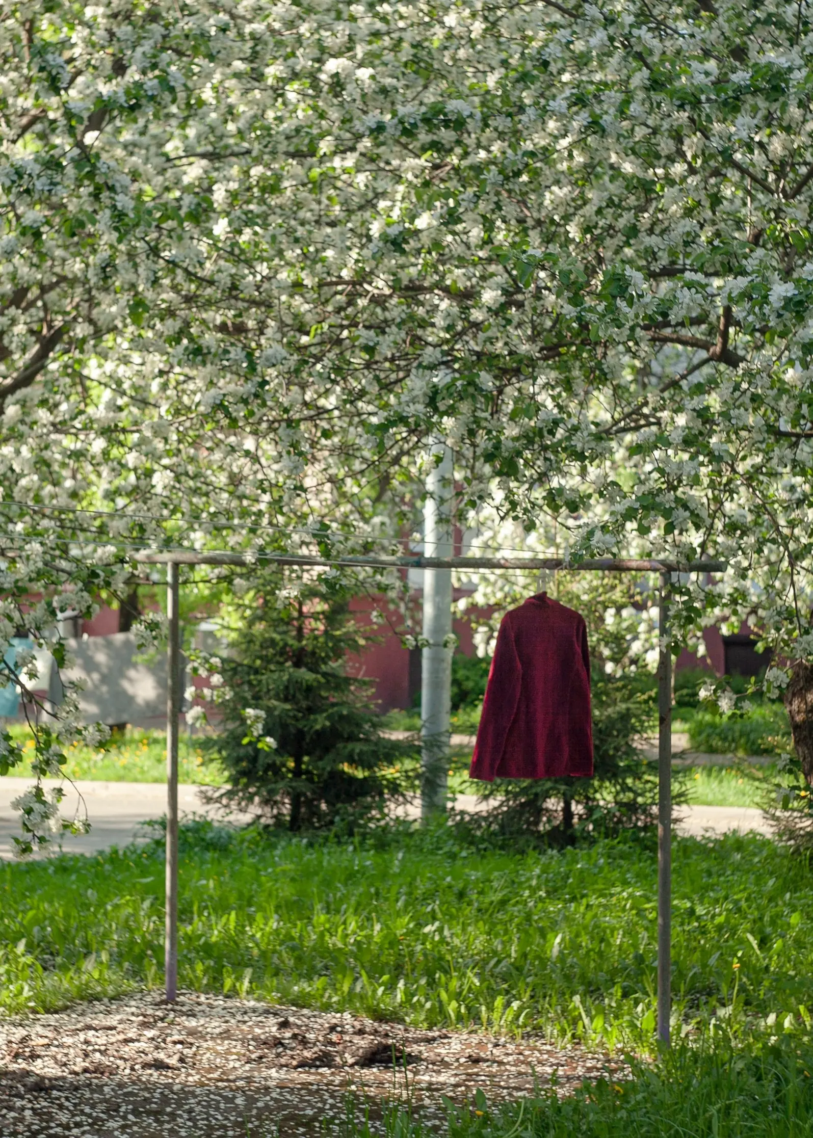 СПЛОШНАЯ ПОЛЬЗА
#петровичевагент #улицапетровичева
Когда берешь с собой на показы фотоаппарат с любимым объективом, всегда остаёшься в выигрыше | Сетка — социальная сеть от hh.ru