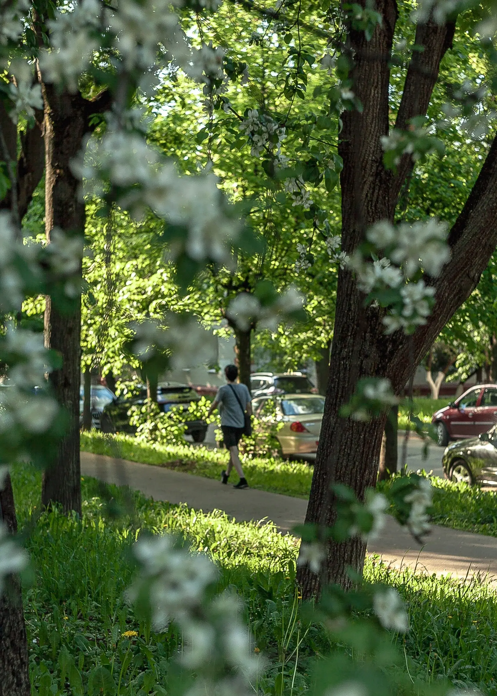 СПЛОШНАЯ ПОЛЬЗА
#петровичевагент #улицапетровичева
Когда берешь с собой на показы фотоаппарат с любимым объективом, всегда остаёшься в выигрыше | Сетка — социальная сеть от hh.ru