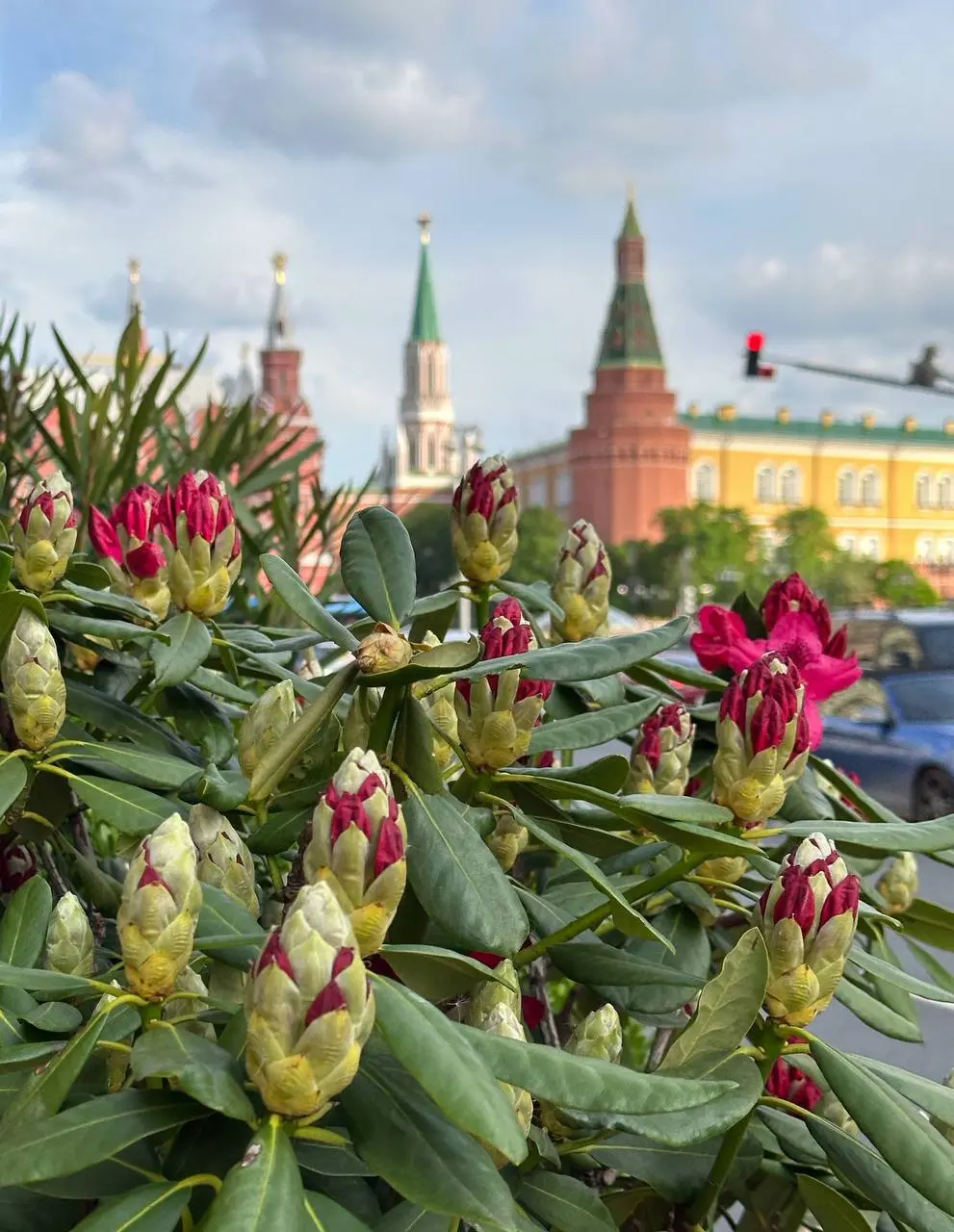 Тверская зацвела! | Сетка — социальная сеть от hh.ru