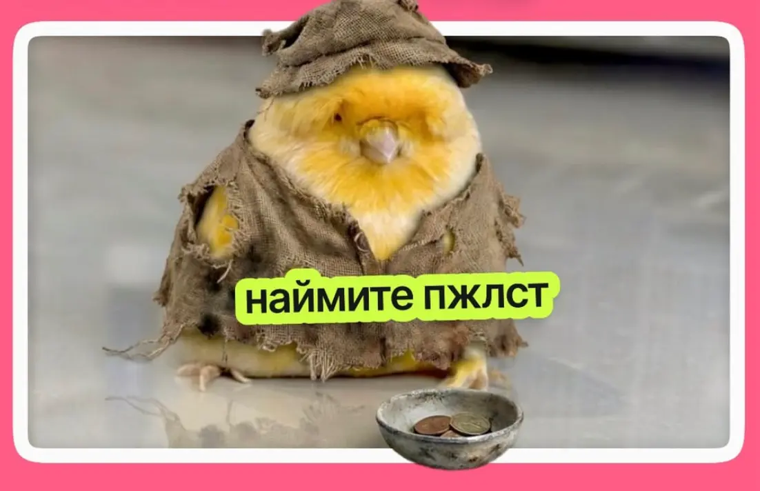 жалко что ли | Сетка — социальная сеть от hh.ru