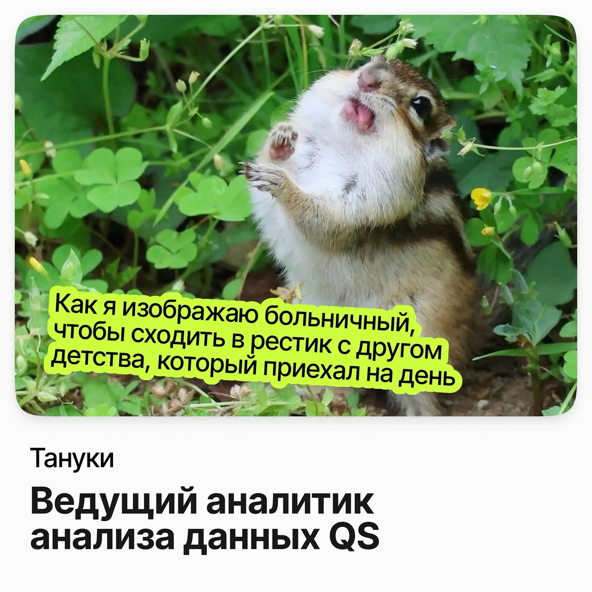 Ведущий аналитик анализа данных QS / Тануки | Сетка — социальная сеть от hh.ru