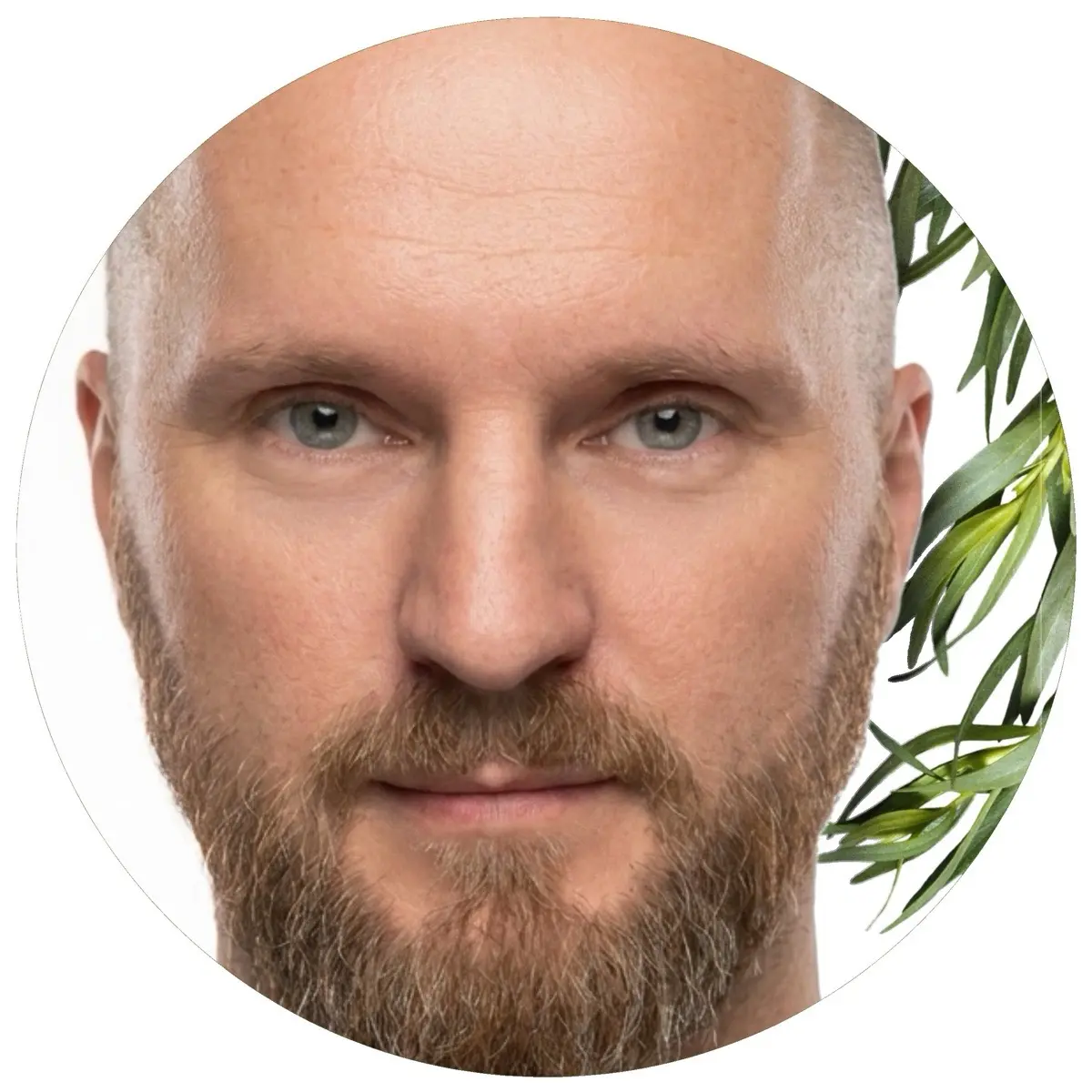 Андрей Петухов