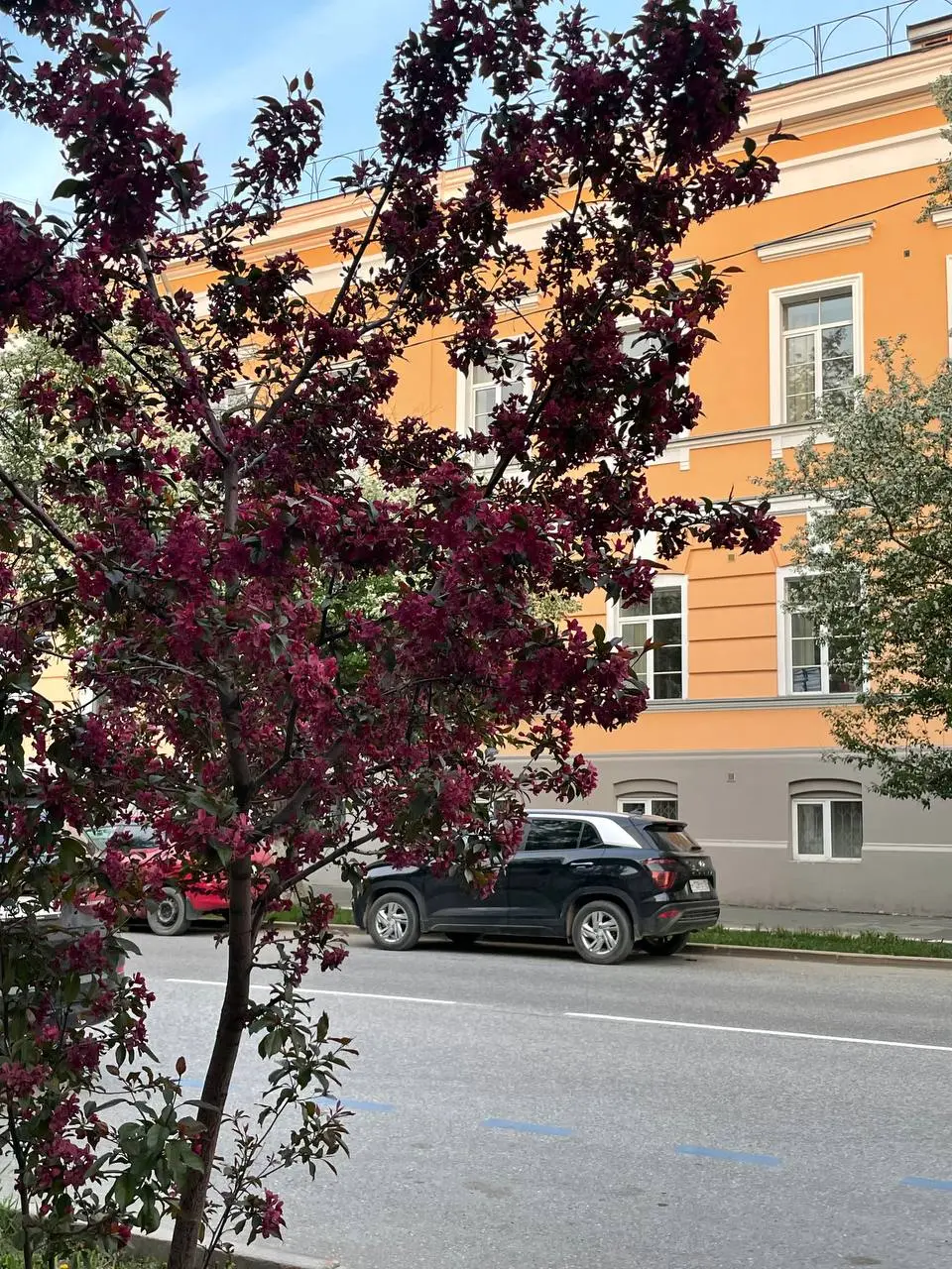 Летние карточки 🌺 | Сетка — социальная сеть от hh.ru