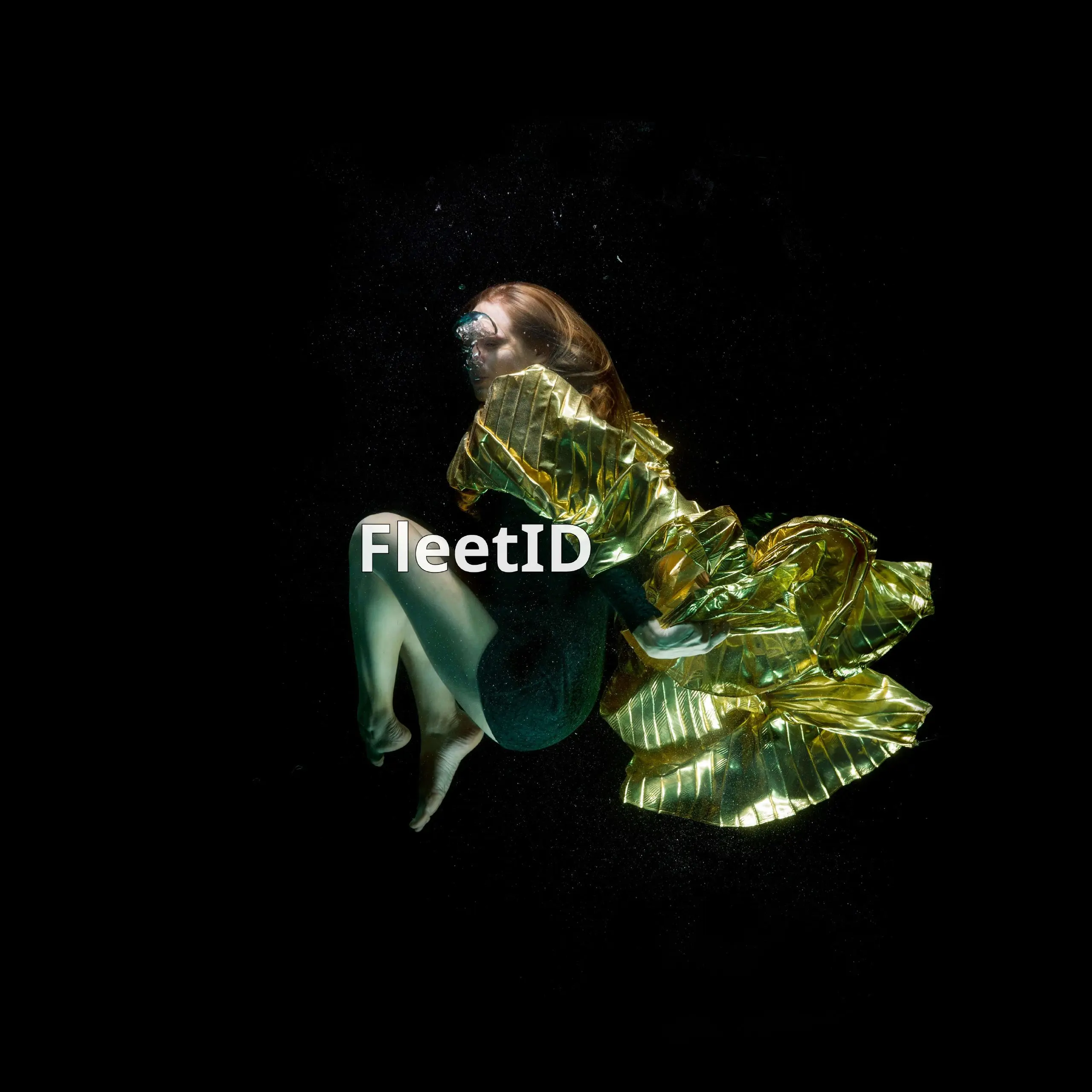 FleetID — это инструмент, который помогает управлять расходами и рисками для владельцев автопарка | Сетка — социальная сеть от hh.ru