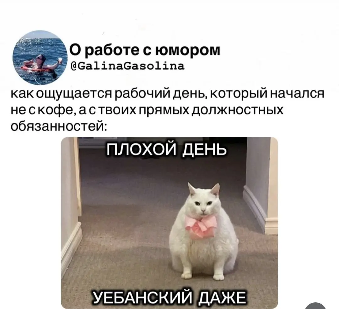 Хорошей рабочей недели 😥 | Сетка — социальная сеть от hh.ru