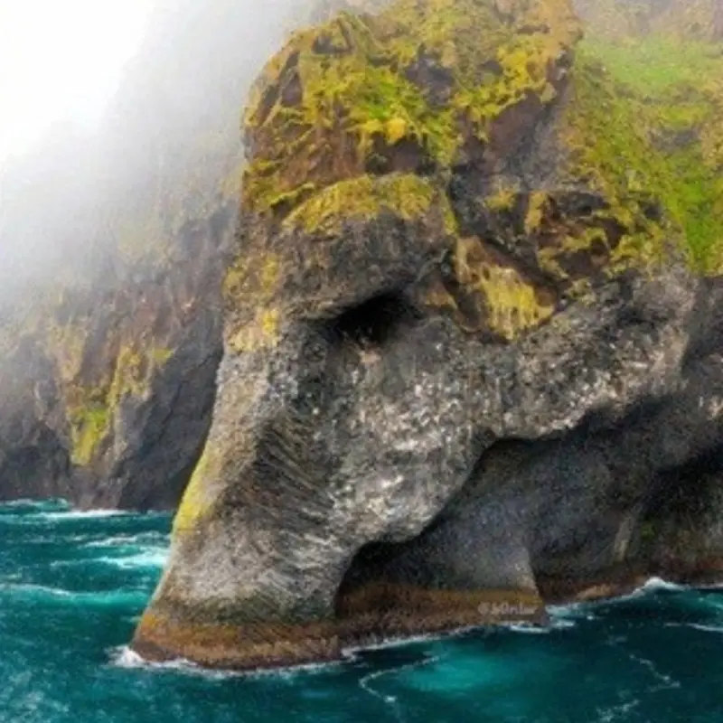 Зинаида Курбанова