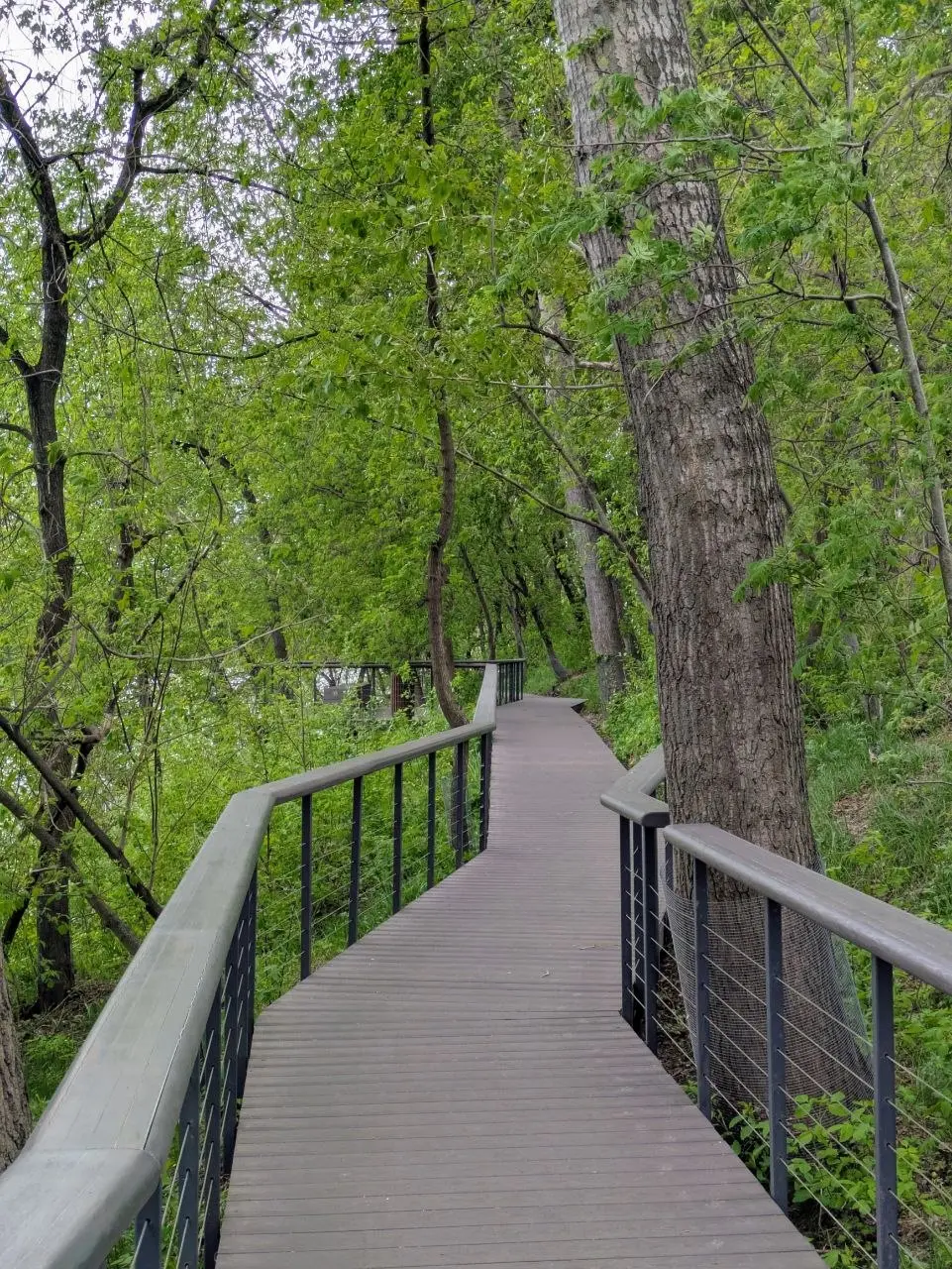 🌳 Набережная без укреплений
Семьёй были в кафе в ЖК Левел Стрешнево и удивились как девелопер приятно и аккуратно обошёлся с крутым озеленённым берегом | Сетка — социальная сеть от hh.ru