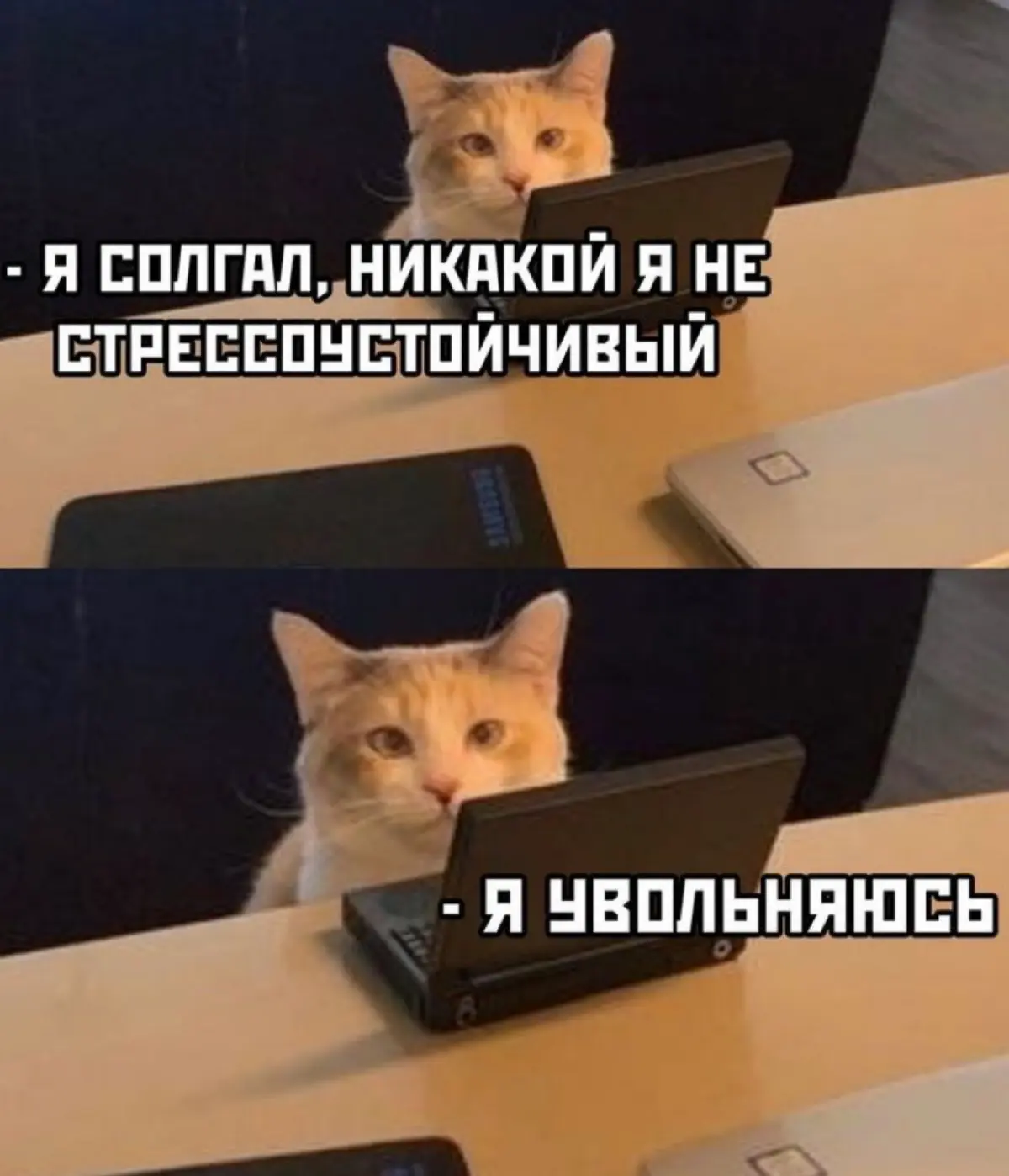 Всем легкого понедельника 🫂 | Сетка — социальная сеть от hh.ru