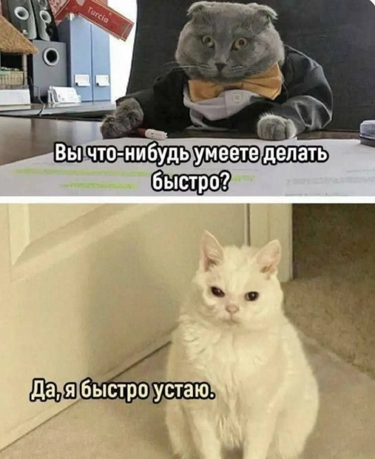 Всем легкого понедельника 🫂 | Сетка — социальная сеть от hh.ru