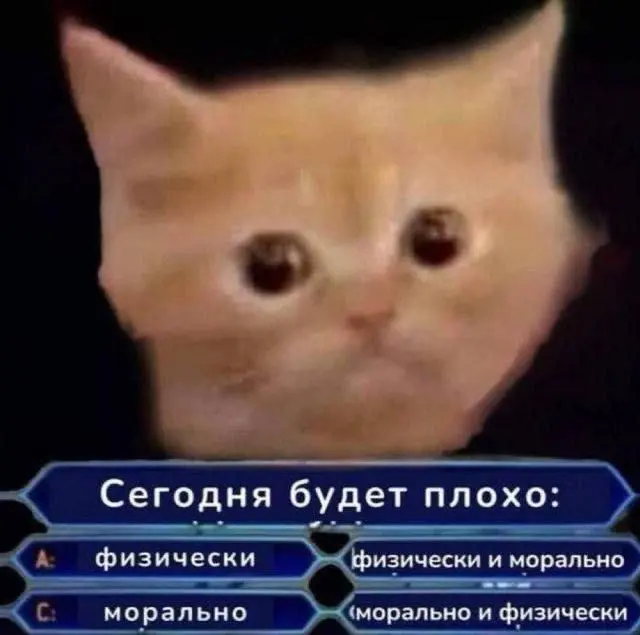 Понедельничное, коллеги | Сетка — социальная сеть от hh.ru