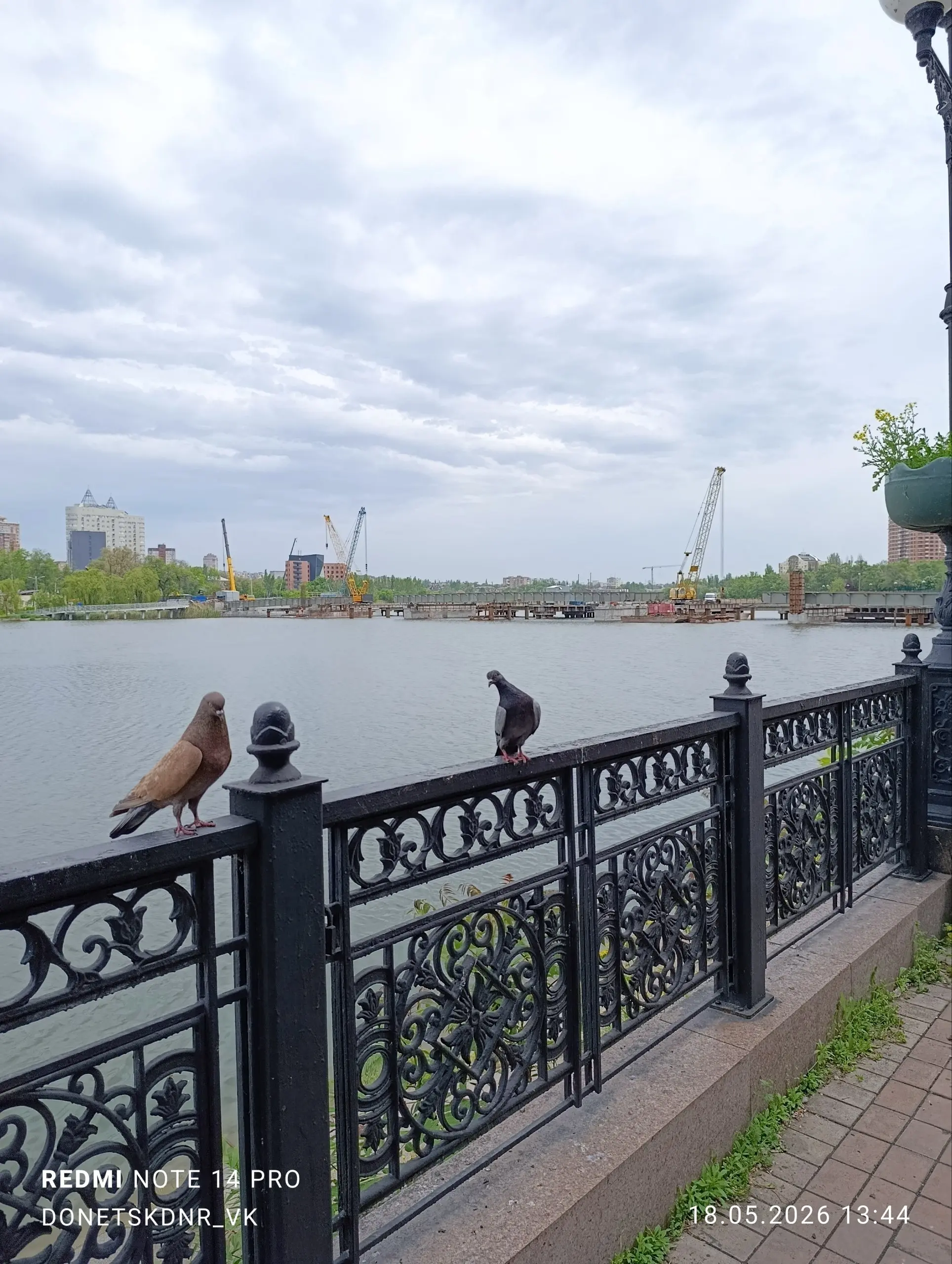 Сирень отцветает | Сетка — социальная сеть от hh.ru