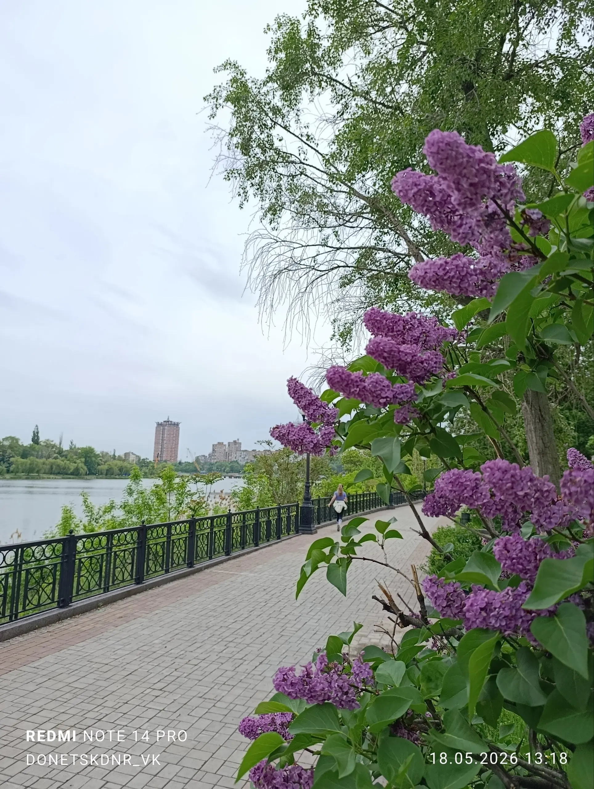 Сирень отцветает | Сетка — социальная сеть от hh.ru