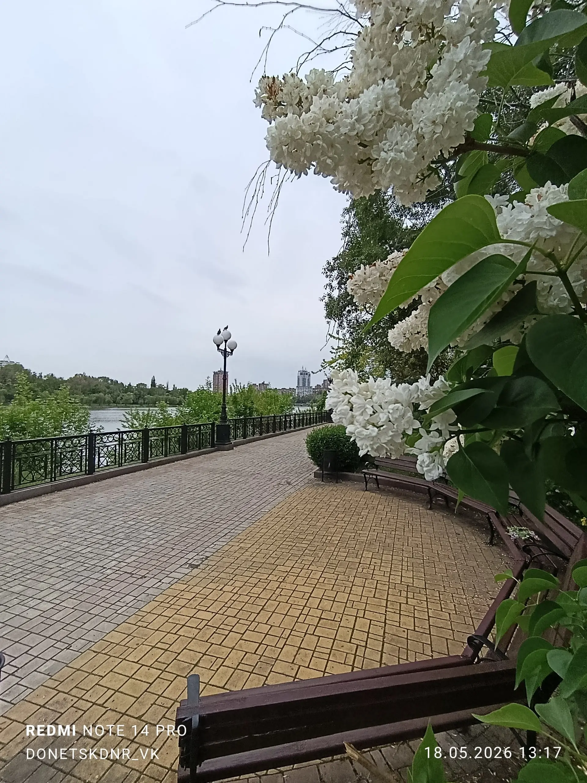 Сирень отцветает | Сетка — социальная сеть от hh.ru