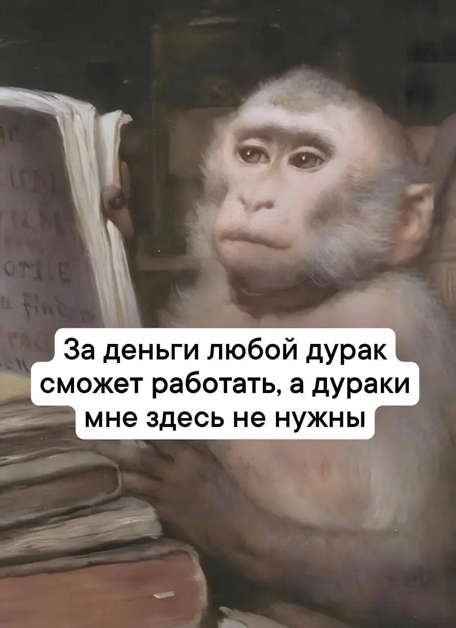 Разбавим понедельник отборными шутеечками 🤣♥️ #мемчики | Сетка — социальная сеть от hh.ru