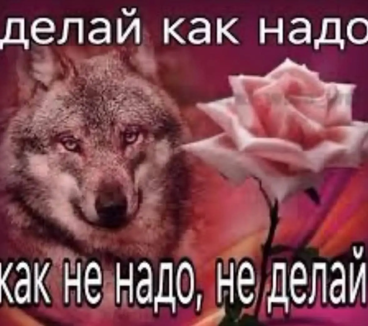 Секрет, который не любят говорить рекрутеры
Если коротко:
тебя оценивают не только по навыкам | Сетка — социальная сеть от hh.ru