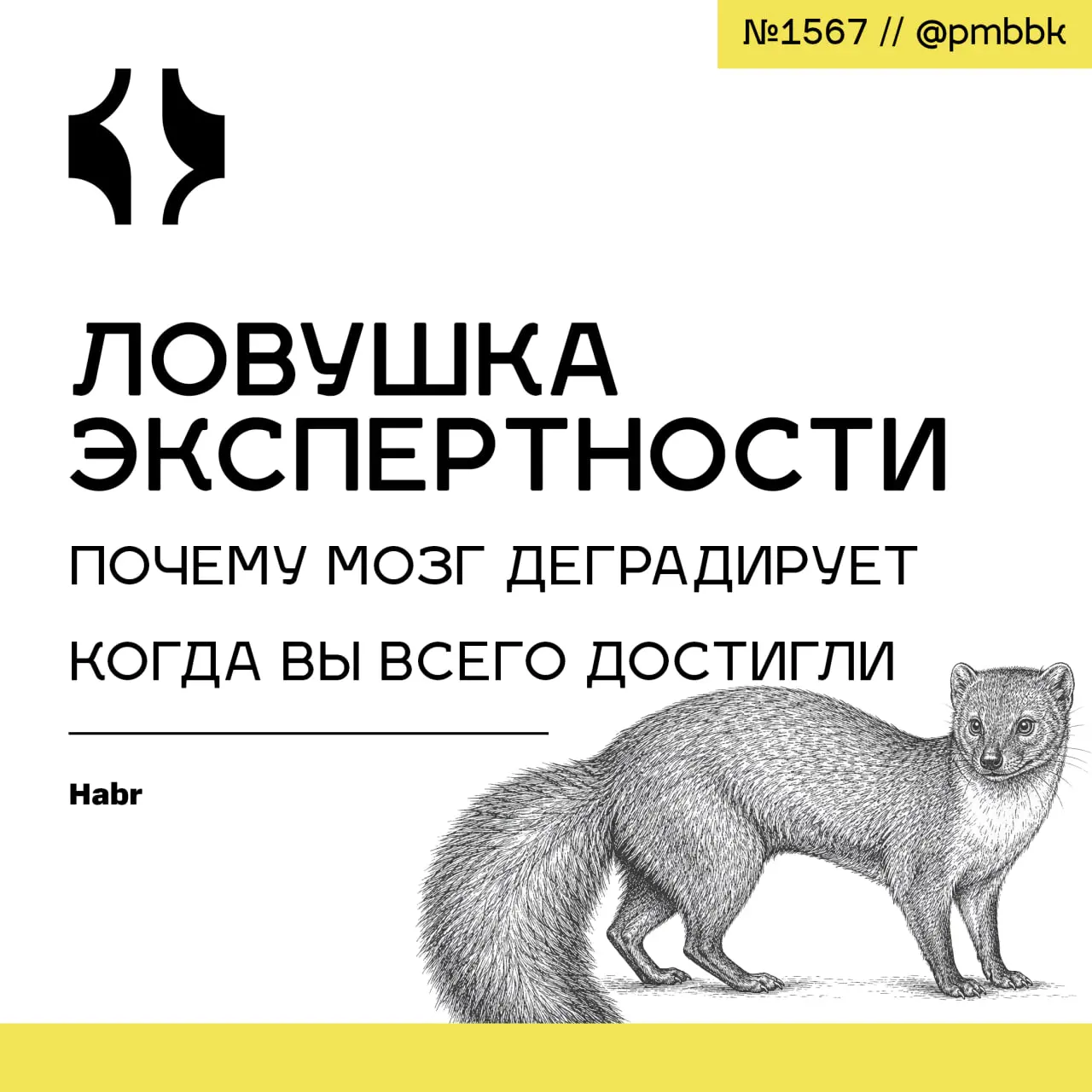 🧠 Ловушка экспертности: почему мозг деградирует, когда вы всего достигли
Мозг профессионала работает тише и экономнее, чем мозг новичка | Сетка — социальная сеть от hh.ru
