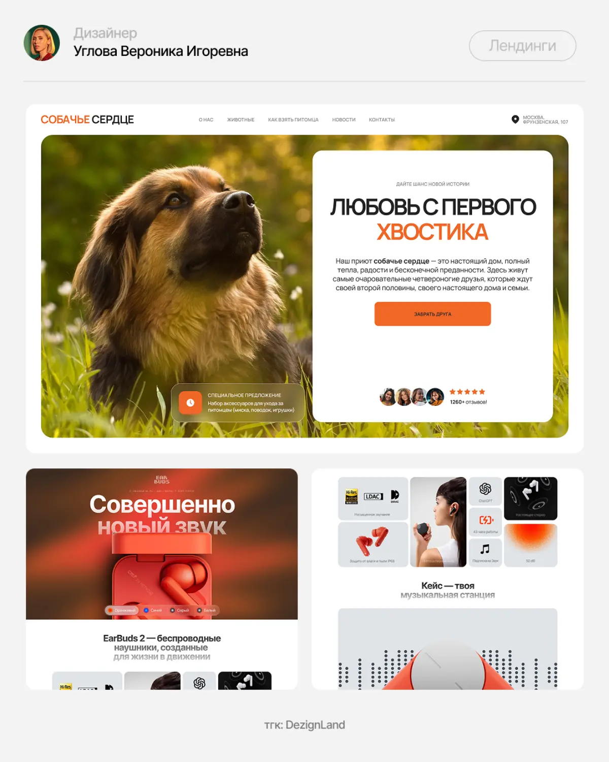 Портфолио | Сетка — социальная сеть от hh.ru