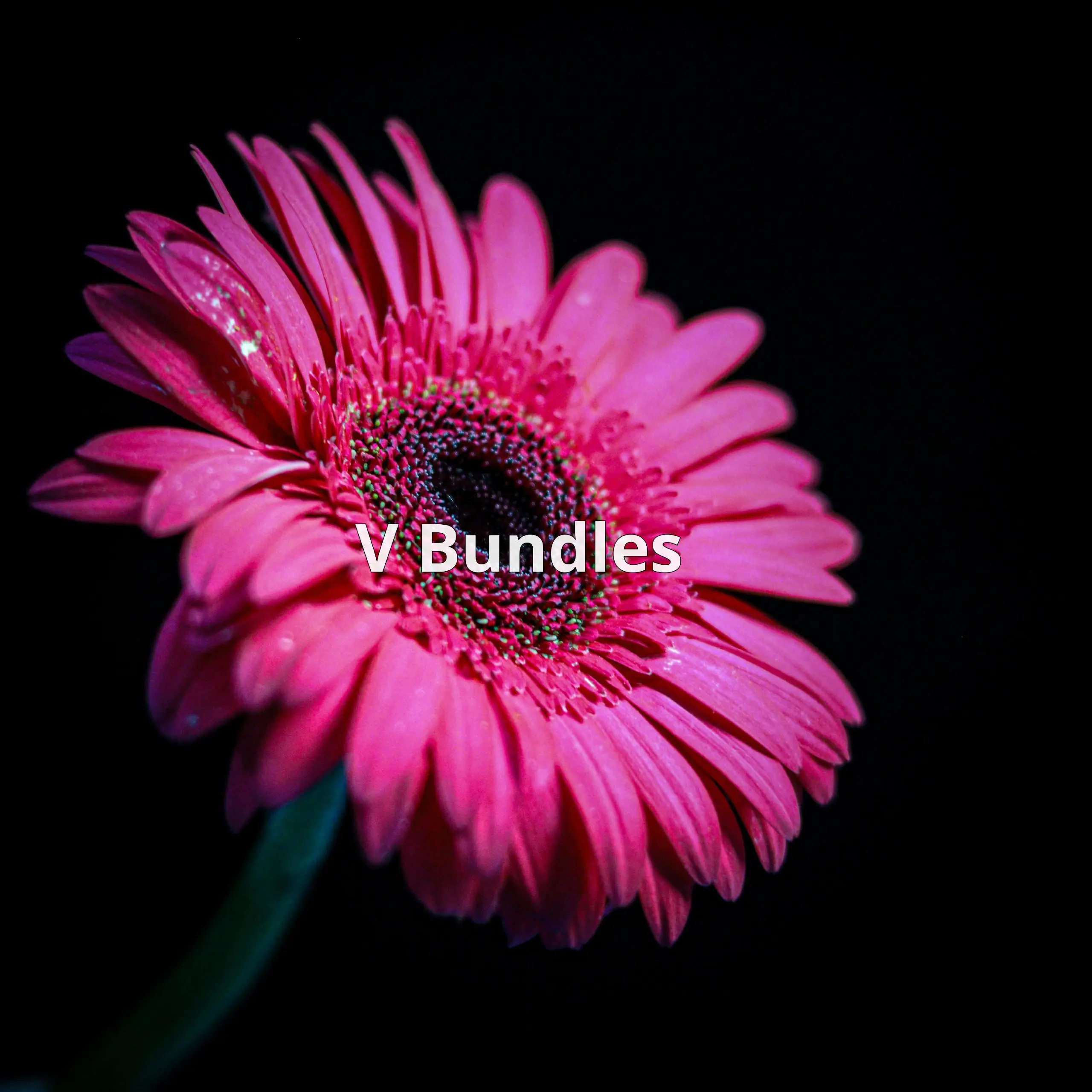 V Bundles – это приложение для Shopify, которое помогает владельцам интернет-магазинов увеличить продажи с помощью гибких продуктовых наборов и скидок на объем | Сетка — социальная сеть от hh.ru