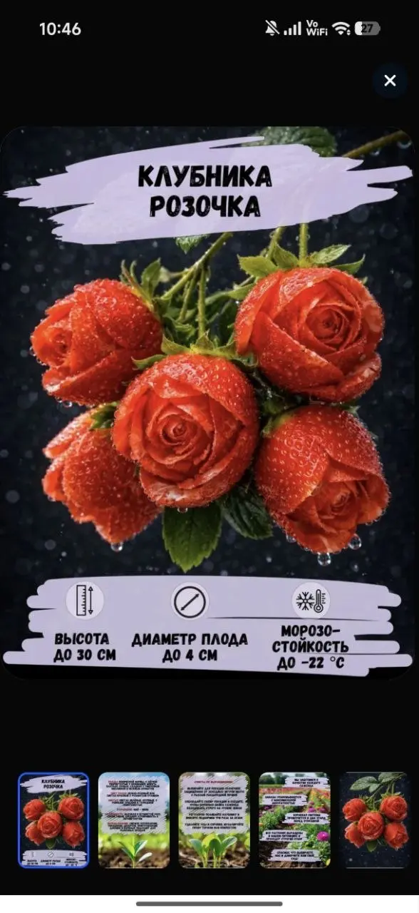 Нейрослоп-семена и скам дачников 🌱
Благодаря новым моделькам картинки теперь выглядят достаточно реалистично, чтобы люди поверили в их существование | Сетка — социальная сеть от hh.ru