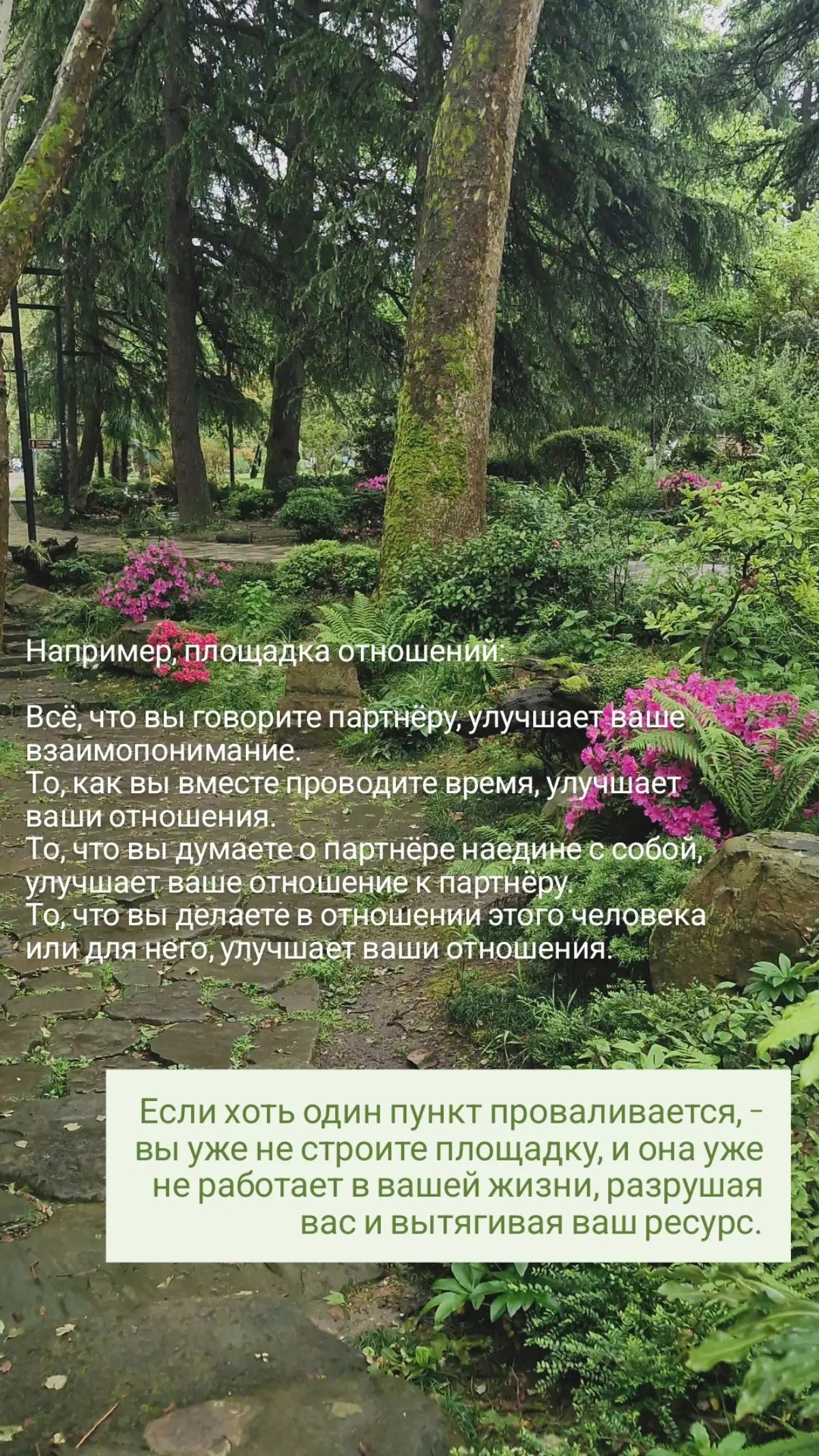 Чтоделаю я ⬇️ Часть 1 🩷 | Сетка — социальная сеть от hh.ru