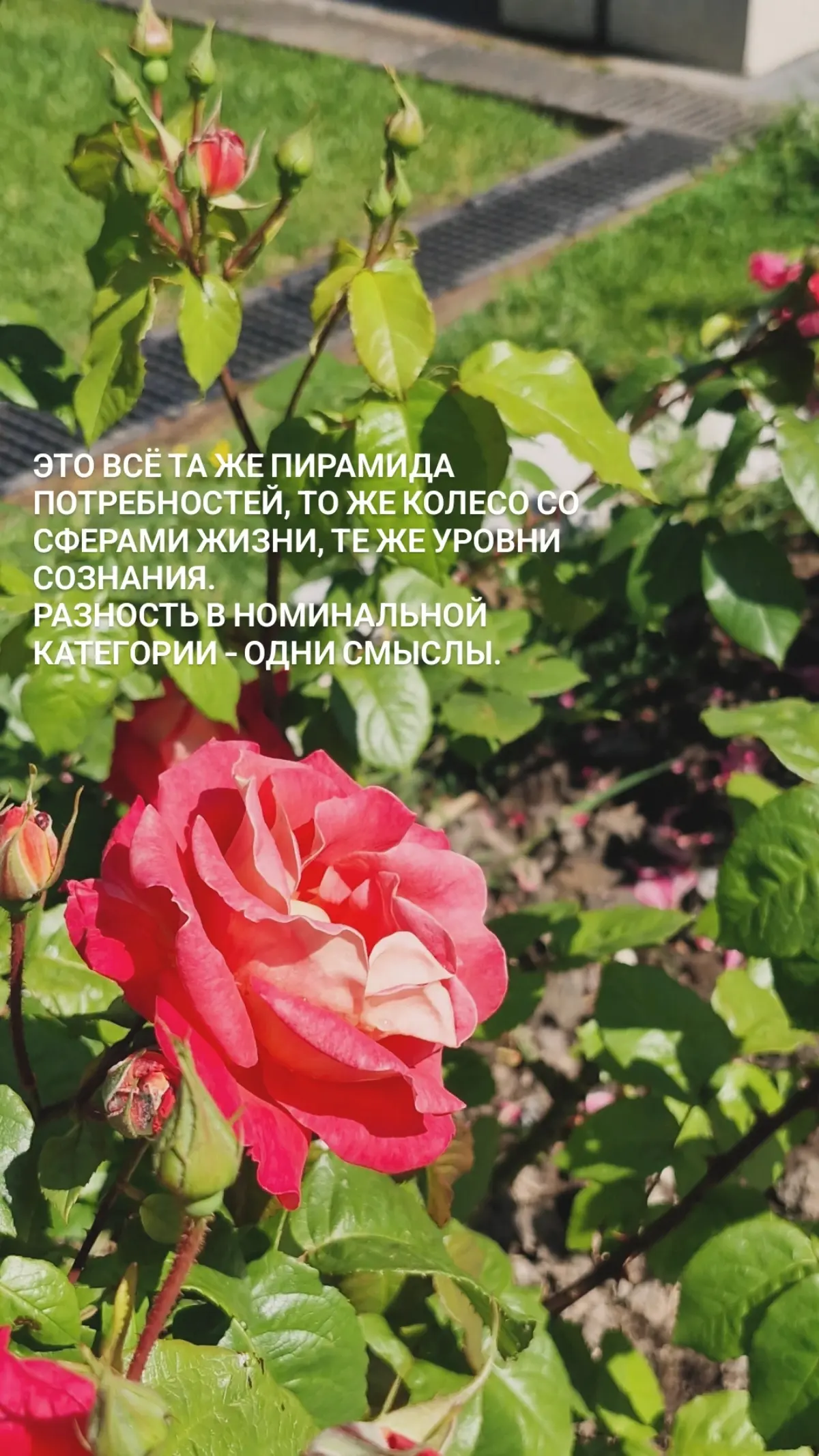 Чтоделаю я ⬇️ Часть 1 🩷 | Сетка — социальная сеть от hh.ru