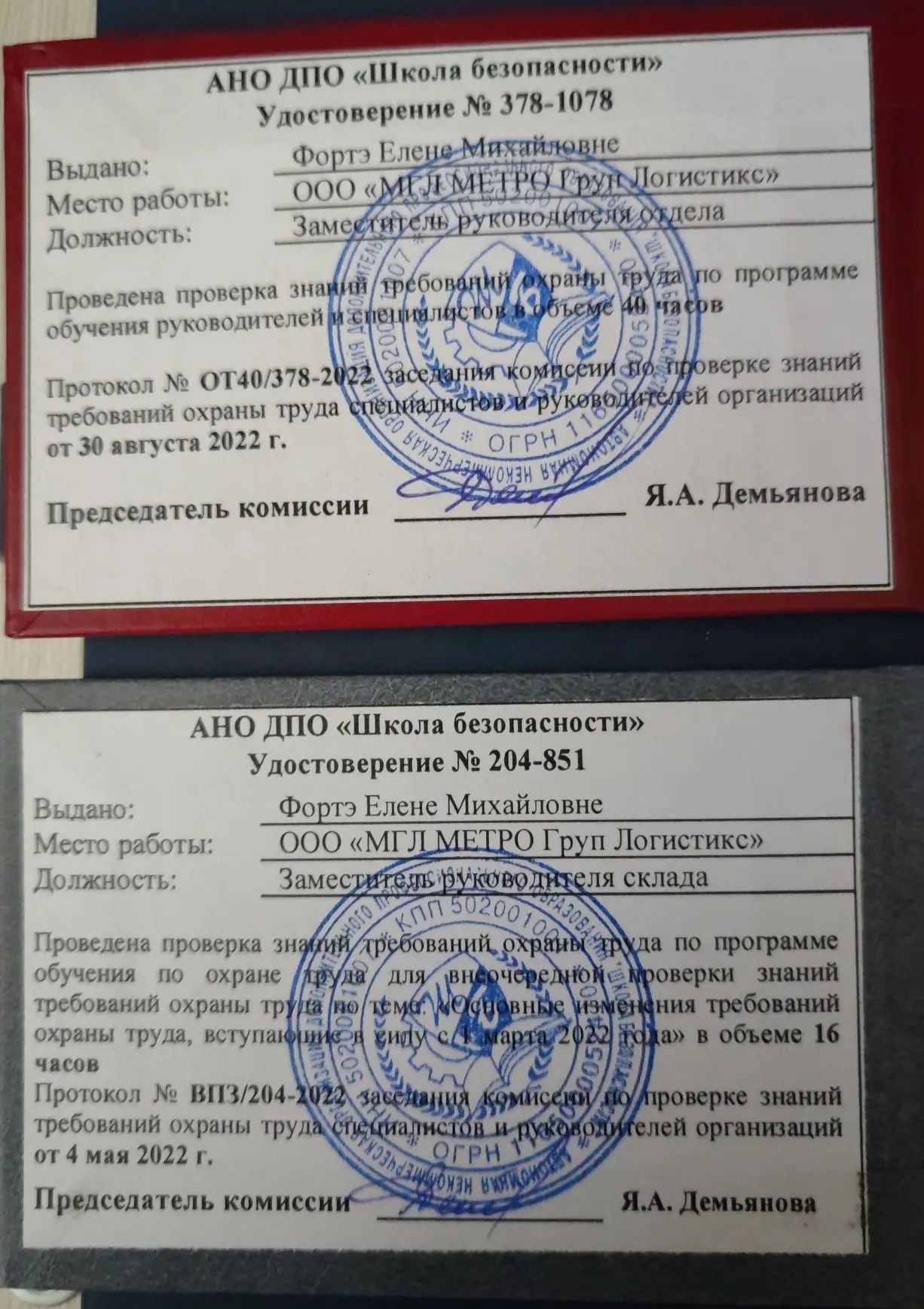 Елена Фортэ