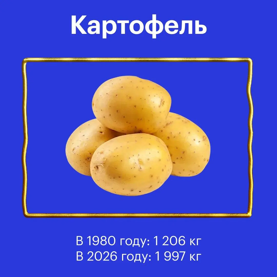 📈Т-Ж сделали пост о том, как жить стало лучше и веселей
🔴Средняя зарплата в СССР в 1980 году — 195,6 ₽.
🔵Средняя зарплата в России в марте 2026 года — 100 360 ₽ | Сетка — социальная сеть от hh.ru
