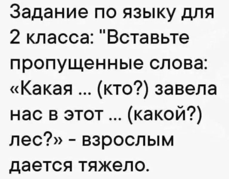 #test | Сетка — социальная сеть от hh.ru