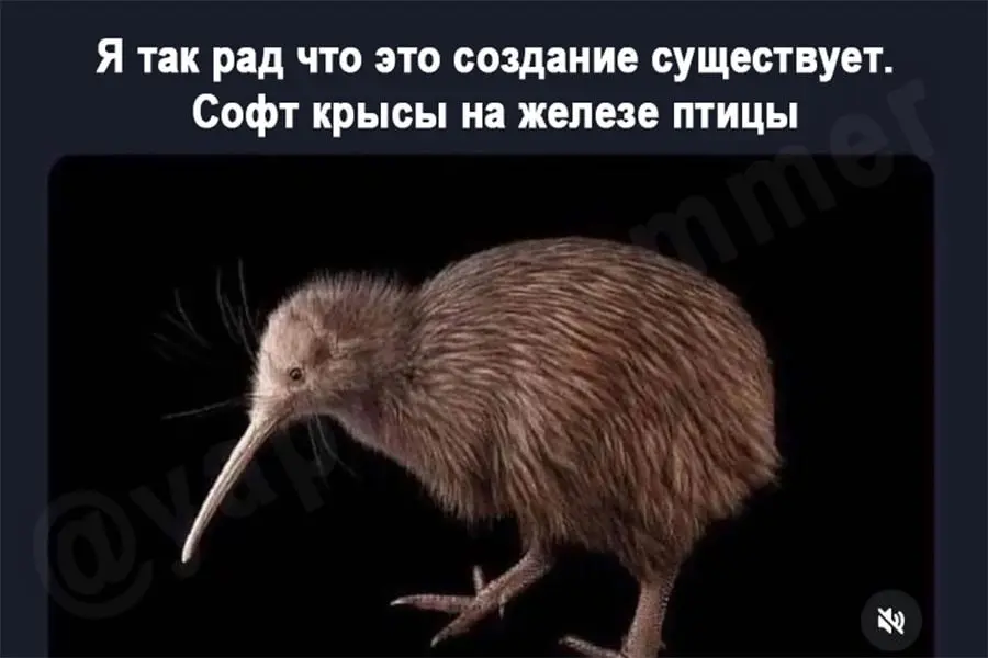 Лучше, чем сеанс у психотерапевта. Подписывайся ✅ | Сетка — социальная сеть от hh.ru
