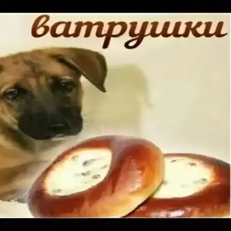 Анастасия Числова