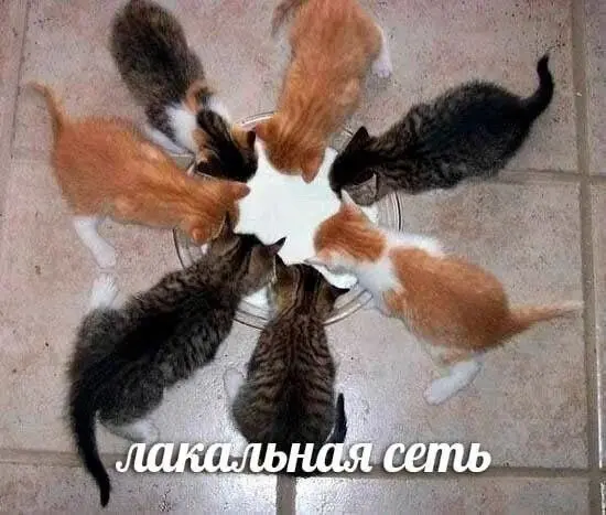 От техпода в сисадмина | Сетка — социальная сеть от hh.ru