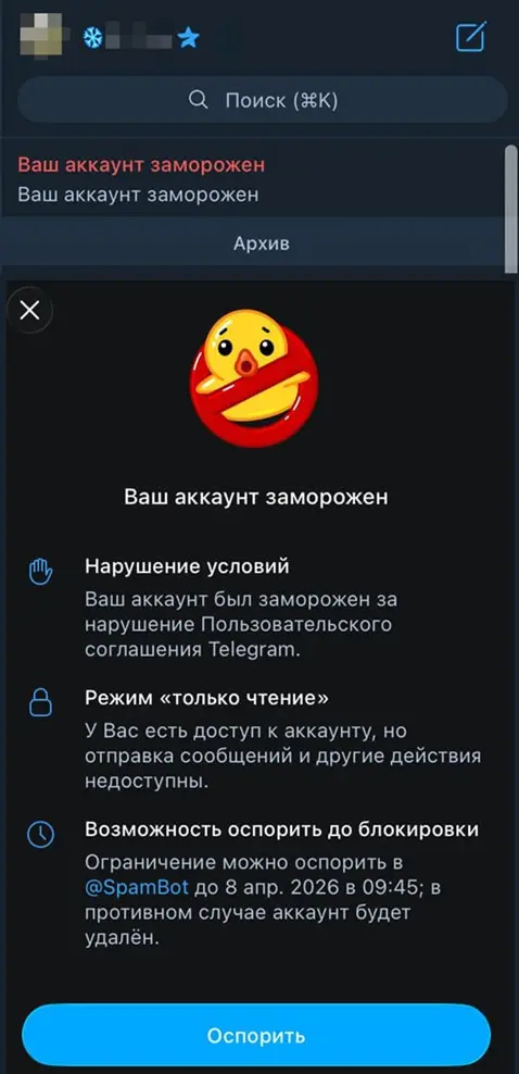 Телега может заблочить ваш акк за… активный поиск работы?! | Сетка — социальная сеть от hh.ru