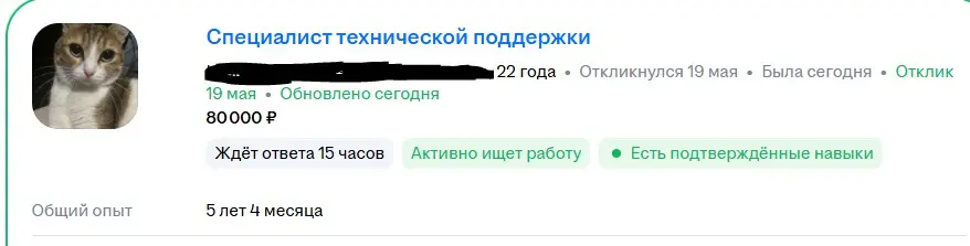 Как вы относитесь к использованию фото животных или персонажей вместо личной фотографии в резюме? Считаете ли это допустимым или предпочитаете только профессиональные портреты?
у меня сегодня день кот... | Сетка — социальная сеть от hh.ru