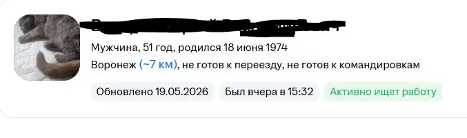 Как вы относитесь к использованию фото животных или персонажей вместо личной фотографии в резюме? Считаете ли это допустимым или предпочитаете только профессиональные портреты?
у меня сегодня день кот... | Сетка — социальная сеть от hh.ru