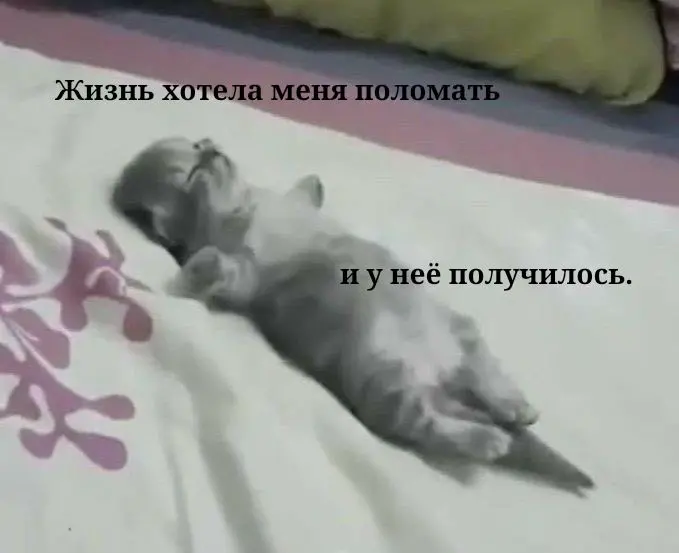 Разберешься? | Сетка — социальная сеть от hh.ru