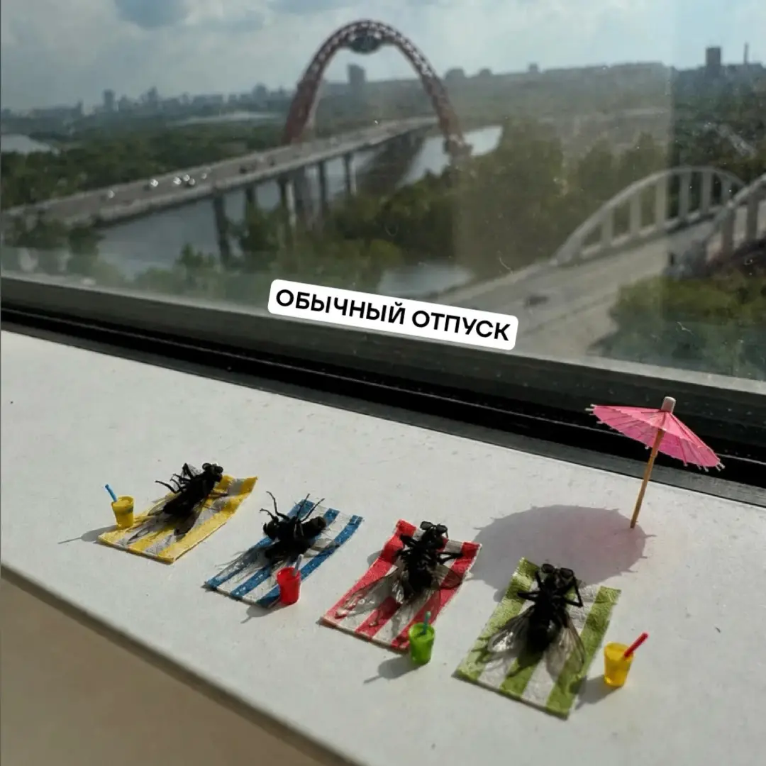 💾📍 | Сетка — социальная сеть от hh.ru
