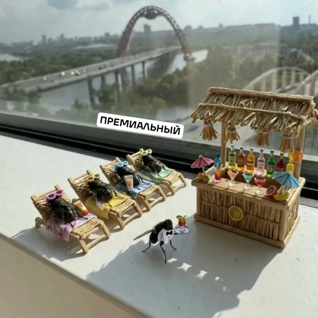 💾📍 | Сетка — социальная сеть от hh.ru
