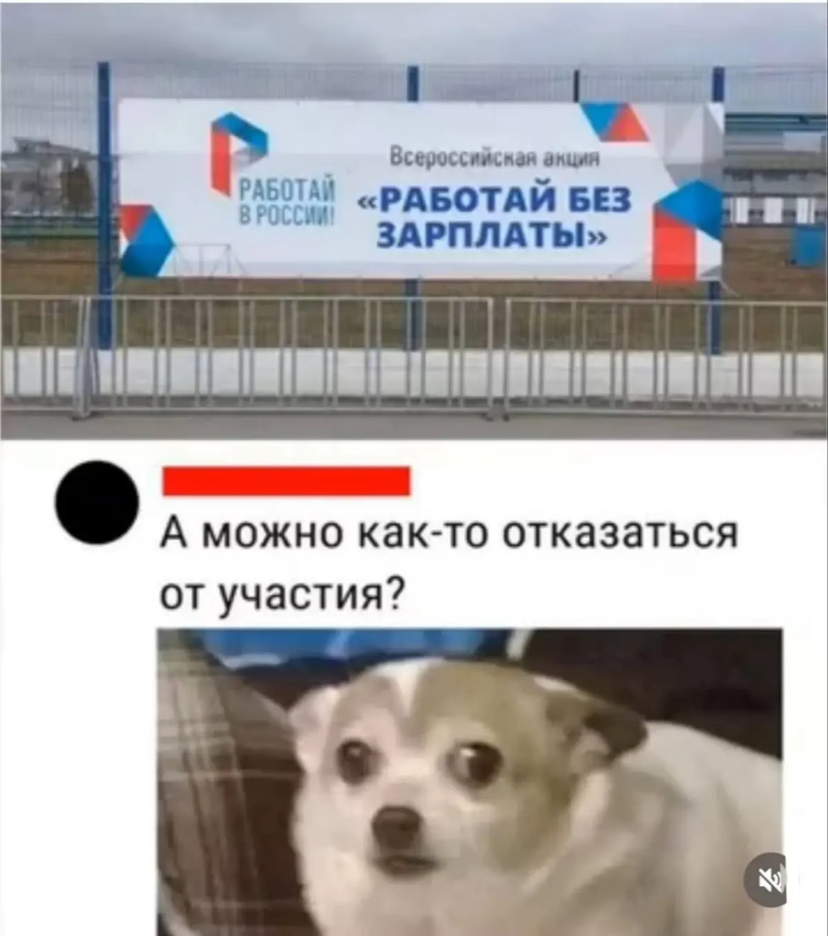 С зп любой дурак может, а ты попробуй без 😄 | Сетка — социальная сеть от hh.ru