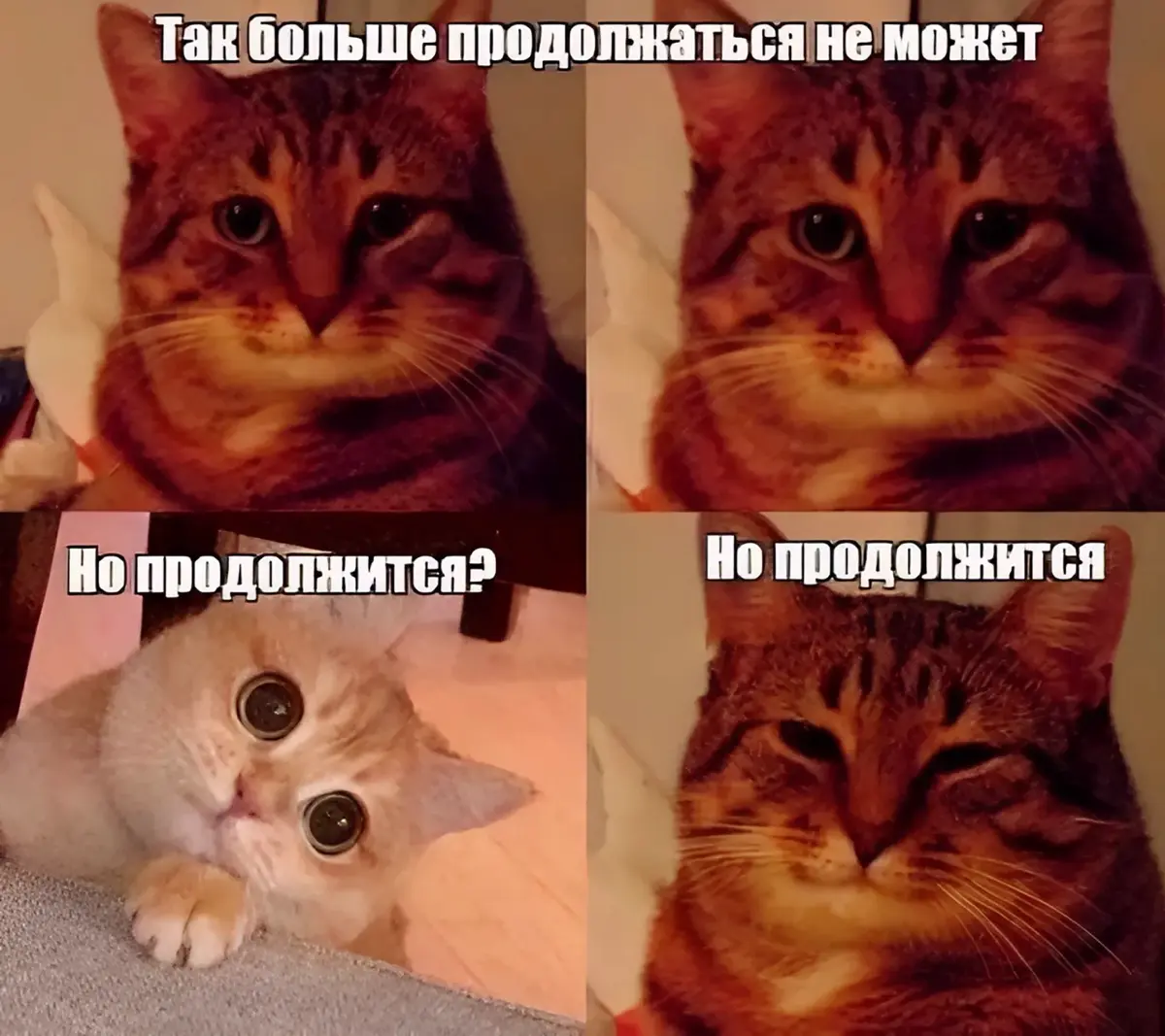 6 вещей, которые бесят выпускающего рассылки | Сетка — социальная сеть от hh.ru