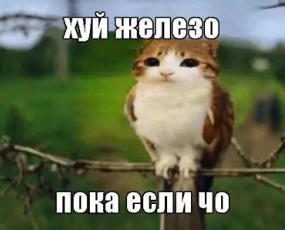 Зачем писать в свой канал текст, который за тебя написал ИИ?
Я все больше замечаю, как люди в свои каналы, соцсети, блоги «вставляют» текст, который за них написал ИИ | Сетка — социальная сеть от hh.ru