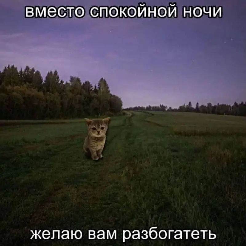 Мысли на ночь 😅🤣 #мемчики | Сетка — социальная сеть от hh.ru